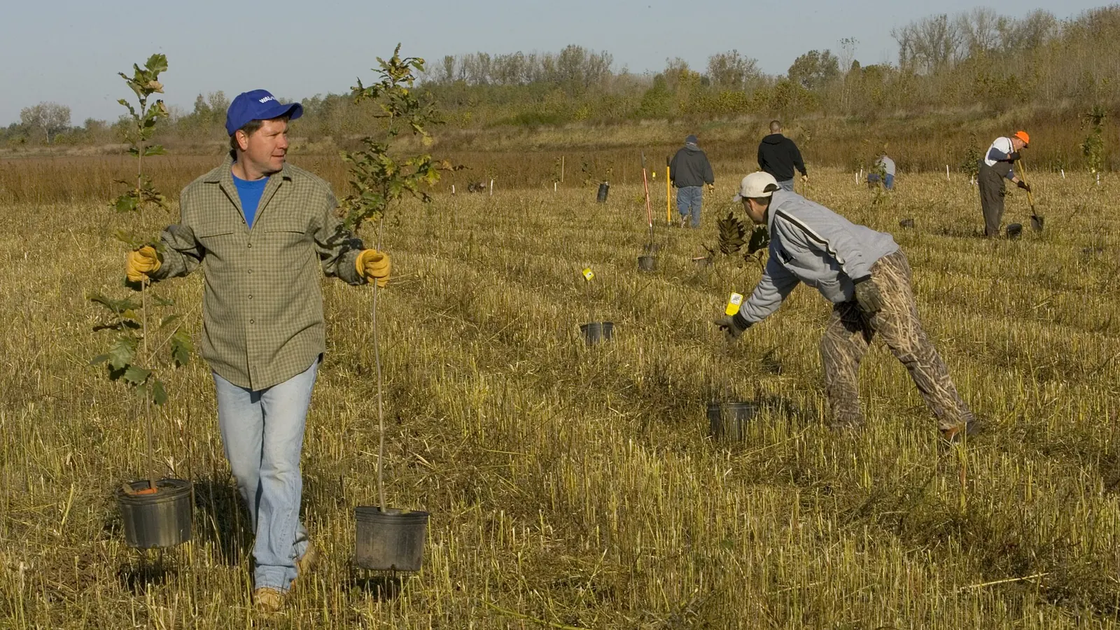 Photo: Department of the Interior. U.S. Fish and Wildlife Service. National Conservatio · Public domain Volunteers planting young trees during a restoration project