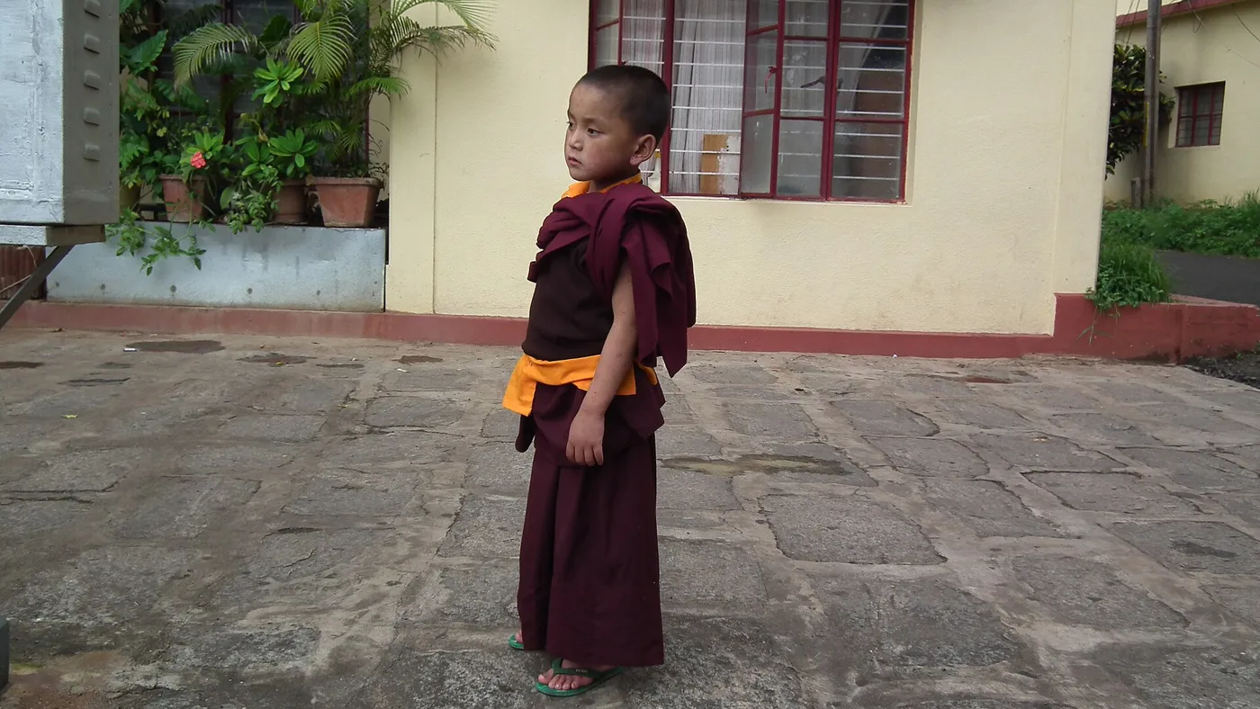 Buddhism — real photography representing this cause