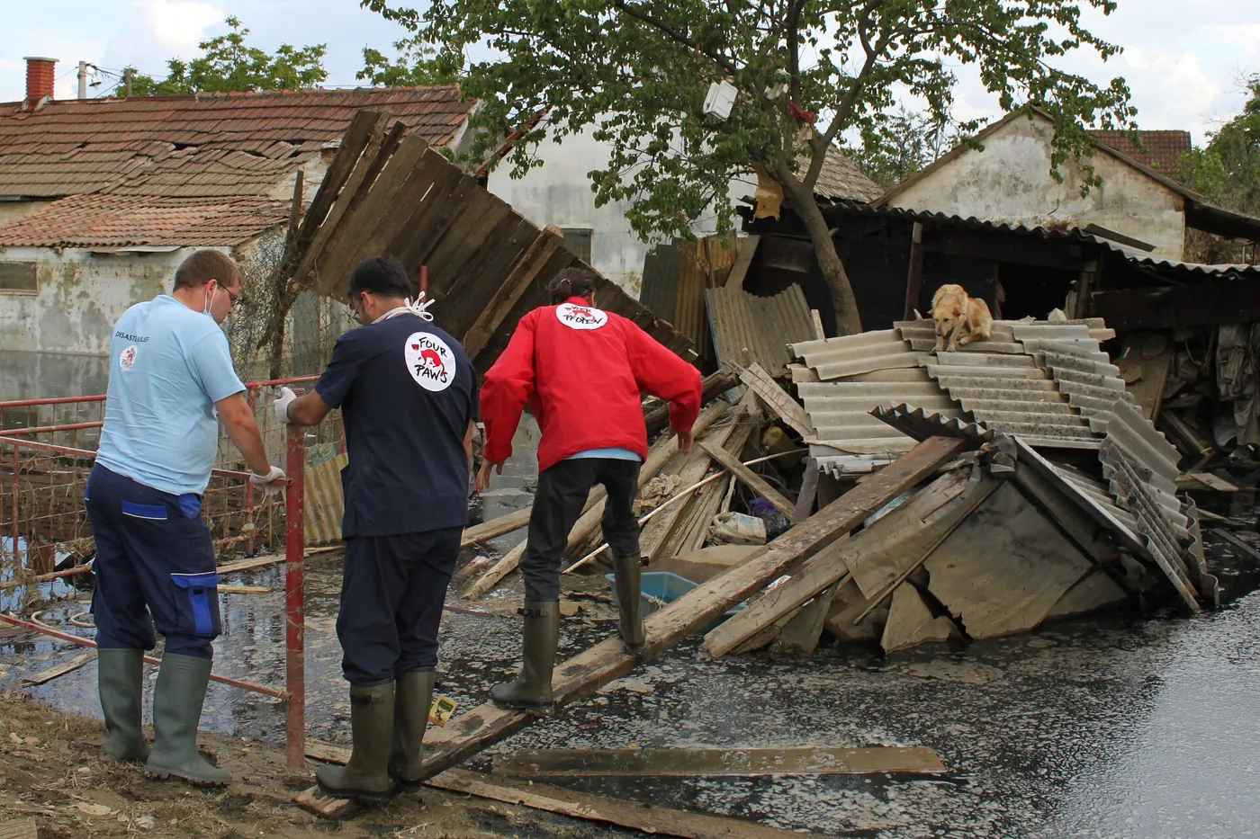 Disaster Relief — documentary photography of relief work